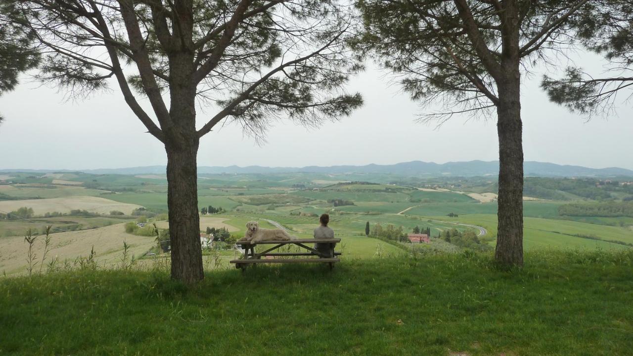 Ciglieri Santermo Casciana Terme Lari Pet&Bike Friendly Free Park Lejlighed Eksteriør billede
