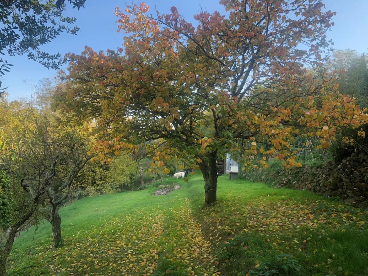 Ciglieri Santermo Casciana Terme Lari Pet&Bike Friendly Free Park Lejlighed Eksteriør billede