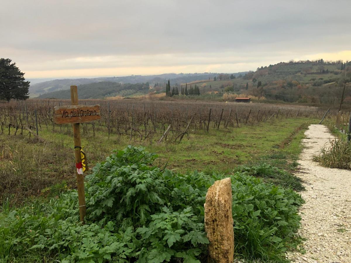 Ciglieri Santermo Casciana Terme Lari Pet&Bike Friendly Free Park Lejlighed Eksteriør billede