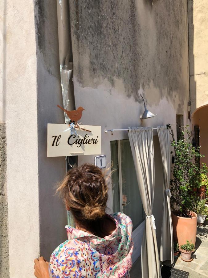 Ciglieri Santermo Casciana Terme Lari Pet&Bike Friendly Free Park Lejlighed Eksteriør billede